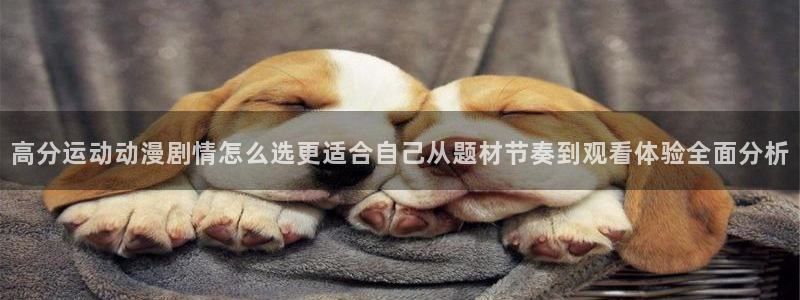 竞技动漫