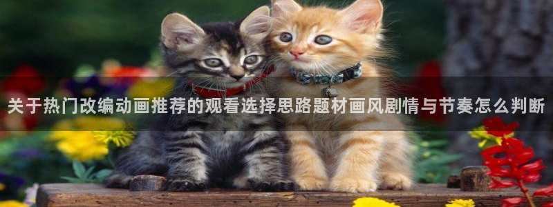 新番动画大全