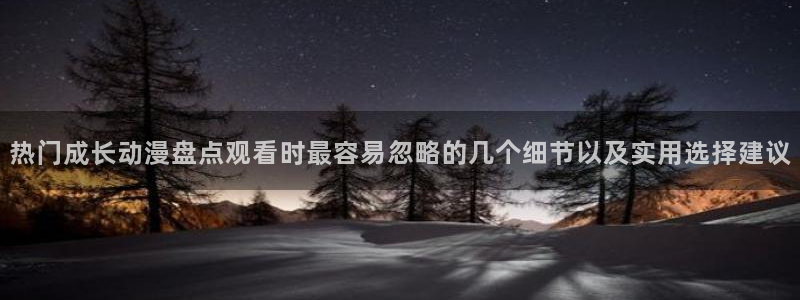 国产动画