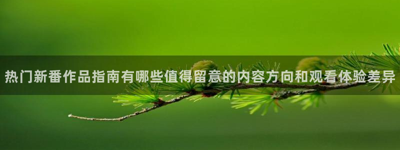完结动漫推荐