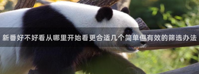 动作动漫推荐