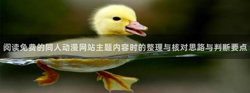 每日动漫