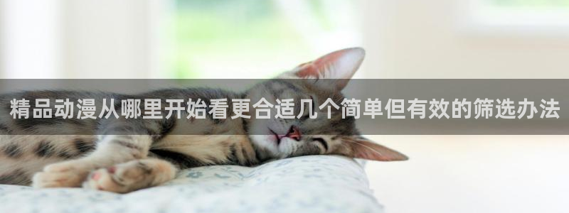动漫热点