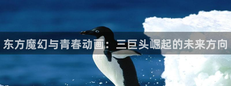 动漫查找