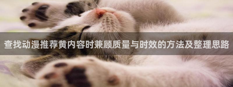 欧美动漫