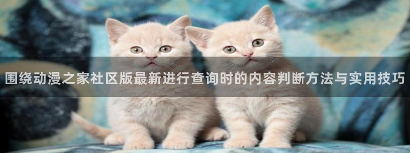 动漫新作推荐