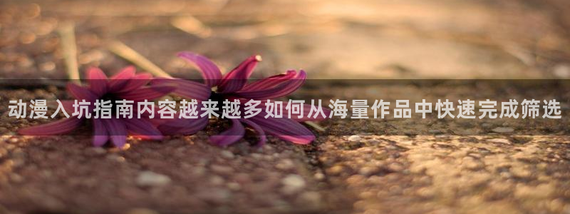 本季动漫